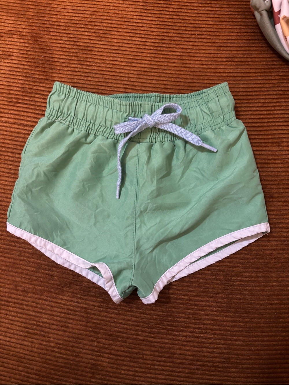 Green Minnow Swim Boardies